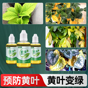 贝可施叶绿素营养液解决黄叶家用农用通用型盆栽绿植花卉用绿叶宝