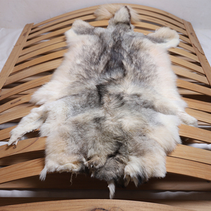 整张狼皮动物皮动物模型标本沙发垫椅垫皮毛一体兽皮道具汽车坐垫