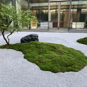 仿真青苔仿生苔藓室内微景观人造草坪假植物墙面绿化盆景装饰