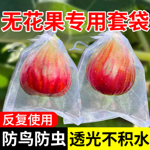 水果套袋防鸟防虫专用网袋葡萄无花果瓜果番石榴橙子草莓保护袋子
