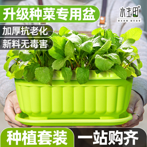 种菜盆神器家庭阳台塑料室内花盆小香葱生菜蔬菜种植盆种菜专用盆