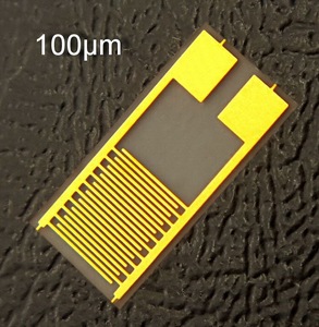 100μm柔性叉指电极电容阵列科研实验智能穿戴传感器芯片PET
