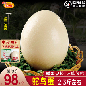 新鲜鸵鸟蛋 特大号鸵鸟蛋 食用鸸鹋蛋 超大蛋可食用鲜蛋送礼雕刻