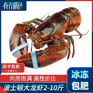波士顿龙虾澳洲超大龙虾冷冻2-10斤海鲜水产鲜活冰冻波龙澳龙龙虾