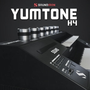 Yumtone H4日本Electone HC-4 FM调频数字合成器采样音色库 k音源