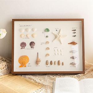 木质相框摆件干花贝壳画装饰礼物天然饰品海螺拍照道具实木相框