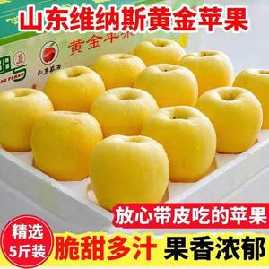 山东维纳斯黄金苹果5斤新鲜脆甜带皮吃水果奶油苹果黄元帅红富士