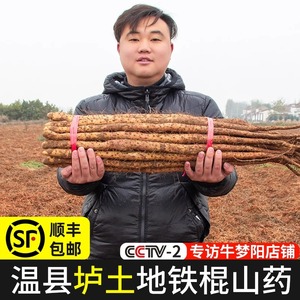 邓优丽10斤装大果正宗铁棍山药河南焦作温县垆土新鲜山药年后发货