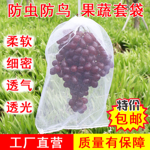 水果套袋防鸟防虫专用袋西红柿番茄葡萄草莓无花果网套袋保护袋子