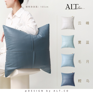 科技布高端蓝色抱枕套不含芯沙发客厅轻奢高级感靠垫飘窗床头靠枕