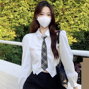 jk制服套装学院风白色衬衫女设计感小众泡泡袖短款小个子领带上衣