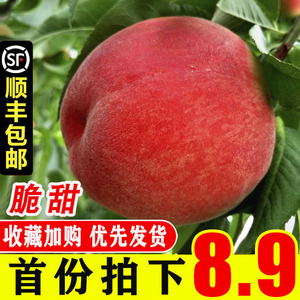 桃子水蜜桃5斤 现摘当季孕妇水果水蜜桃脆甜毛桃整箱包邮红桃脆桃