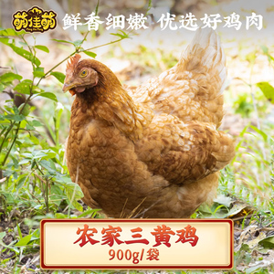 上海崇明农家三黄鸡整只新鲜白条鸡走地鸡冷冻批发商用非现杀散养