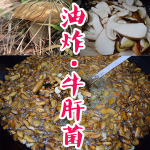 云南农家野生油牛肝菌1000g即食黄白牛肝风味罐头下饭菜拌面素食