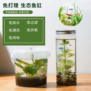 手提生态瓶DIY材料塑料免打理自循环微景观桌面小植物鱼缸小鱼小