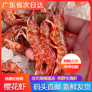 野生樱花虾刺身鲜活速冻海鲜水产海捕鸡冠虾红虾甜虾一盒500g广东
