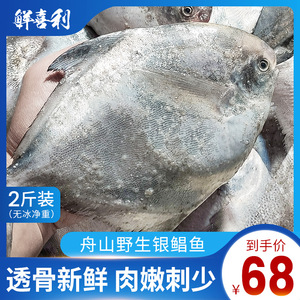 舟山野生中号银鲳鱼鲜活海鲜冷冻白鲳鱼新鲜东海平鱼鳊鱼2斤装_阿里巴巴
