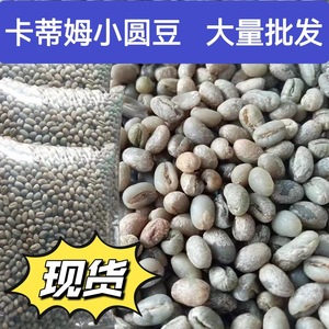 卡蒂姆小圆豆新产季云南保山小粒咖啡豆14-16目水洗处理生豆