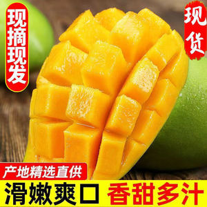 芒果新鲜越南进口玉芒青皮芒果当季现摘热带水果整箱8斤包邮芒果