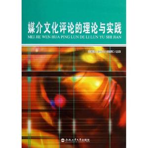 正版图书媒介文化评论的理论与实践金梦玉沈敏特合肥工业大学出版