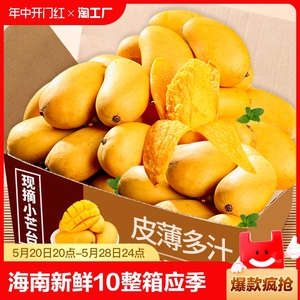 海南小台芒新鲜10小芒果鲜果整箱应季特产水果小台农芒果大果甜斤