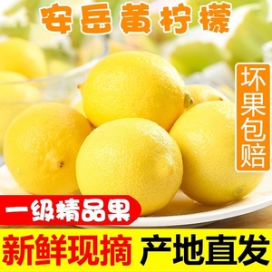 四川安岳黄柠檬5斤新鲜水果奶茶店专用现摘薄皮一级果香水甜柠檬