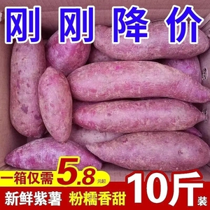 【刚刚降价】沙地紫薯10斤新鲜紫罗兰红薯蜜薯紫地瓜蔬菜批发1斤