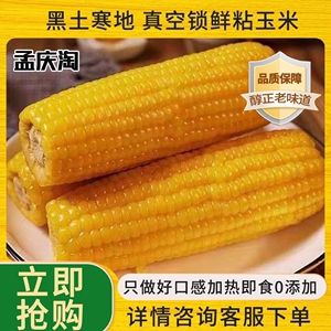 （孟庆淘）黑龙江新鲜粘糯玉米每支280克到400克8支粘5斤多包邮