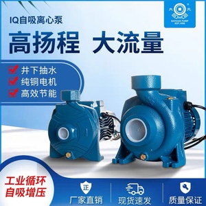 新沪IQ离心泵大流量工业加压循环泵农用灌溉抽水泵家用管道增压泵