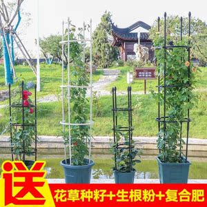 球兰花架爬藤架花支架托杆攀爬架花盆护叶园艺绿植铁线月季花卉庭 阿里巴巴找货神器