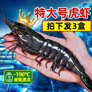 黑虎虾鲜活速冻超大虾虎虾九节斑节虾基围虾海鲜水产鲜活