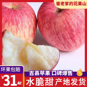 山西吉县红富士壶口苹果水果新鲜特一级包邮10斤当季整箱糖心脆甜