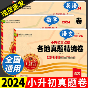 2024新 小升初真题卷 王朝霞试卷全套名校期末真题精编卷必刷题人教版六年级下册语文数学英语专项训练分类卷总复习大集结复习资料