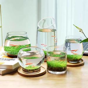 鱼缸水草种子微景观水草泥创意桌面盆栽水培植物玻璃瓶水造景对叶