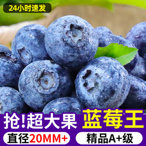 云南新鲜蓝莓当季水果高山怡颗甜莓孕妇蓝梅鲜果大果现货速发整箱