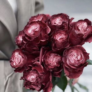 厄瓜多尔进口玫瑰Dusty Rose灰蔷薇鲜花花束广州全国顺丰空运包邮