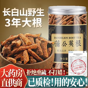 蒲公英根茶干货长白山正品浦公英根片非特级旗舰店非野生中药材