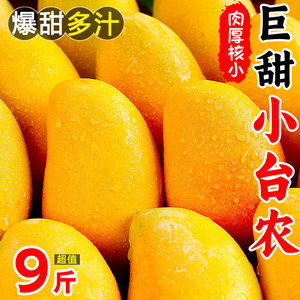 现摘小台芒新鲜10斤小芒果鲜果整箱应季特产水果小台农芒果大果甜