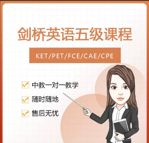 ket/pet/fce剑桥英语提分辅导网课在线一对一培训基础直播课程