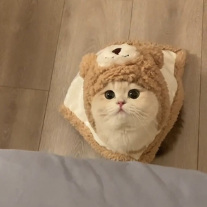 宠物猫咪衣服冬季披风保暖被子英短布偶猫金渐层小猫睡觉加厚毛毯