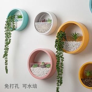 壁挂花盆幼儿园楼梯墙上装饰品挂壁圆形水培绿植仿真多肉创意挂件