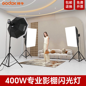 Godox神牛摄影灯SK400W II二代影室闪光灯400W专业摄影棚室内拍摄服装棚拍灯服装人像儿童静物影楼补光灯套装