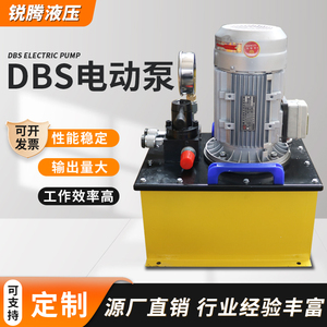 DSS电动液压泵站 大流量超高压双作用小型试压泵可定制液压电动泵