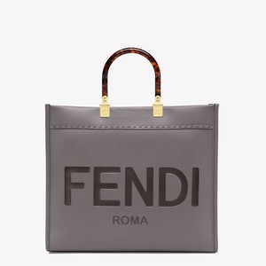 FENDI/芬迪女包硬质玳瑁效果有机玻璃提手Sunshine中号灰色手提袋