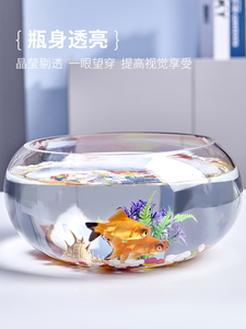 绿植玻璃器皿半圆形水仙花盆铜钱草碗莲花瓶水培植物透明鱼缸