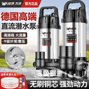 无刷直流潜水泵48V/60V/72V伏电动电瓶车水泵高扬程抽水泵机农用