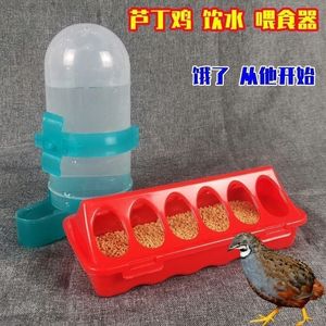 芦丁鸡喂食器食槽鹌鹑饮水器新款饮水器食槽饲料盒自动喂食器