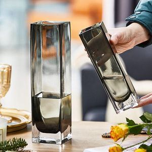 轻奢欧式玻璃花瓶透明创意水培植物鲜干花插花瓶客厅装饰家用摆件