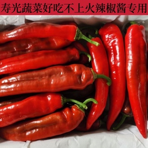 红辣椒新鲜现摘个大肉厚微甜辣农家自种红尖椒大红泡椒酱专用