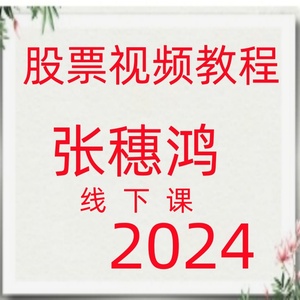 2024张穗鸿线下课波段战法成交量热点板块高抛低吸涨停买卖点173